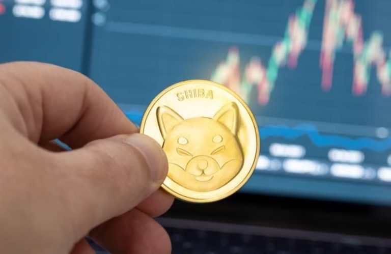 Shiba Inu : ce qu'il faut pour que la crypto passe la barre de 1 euro
